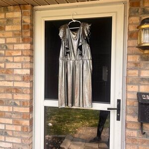 Shimmering Silver Dress